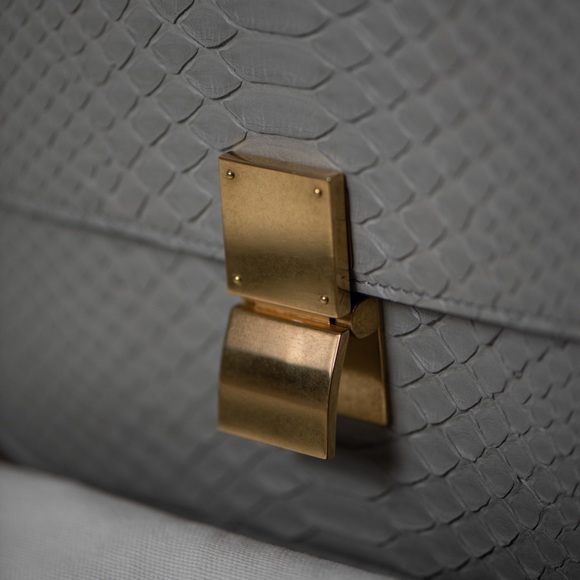 Celine Medium Box Bag - Grey Python Leather - Picture 2 of 9